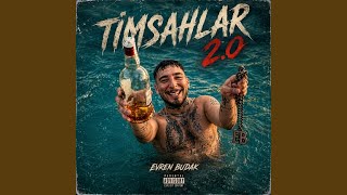 Timsahlar 20