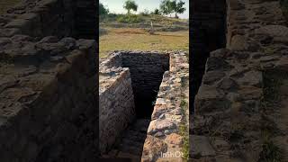 Dholavira Harrapan Town and Wood Fossil Park of Jurassic Era