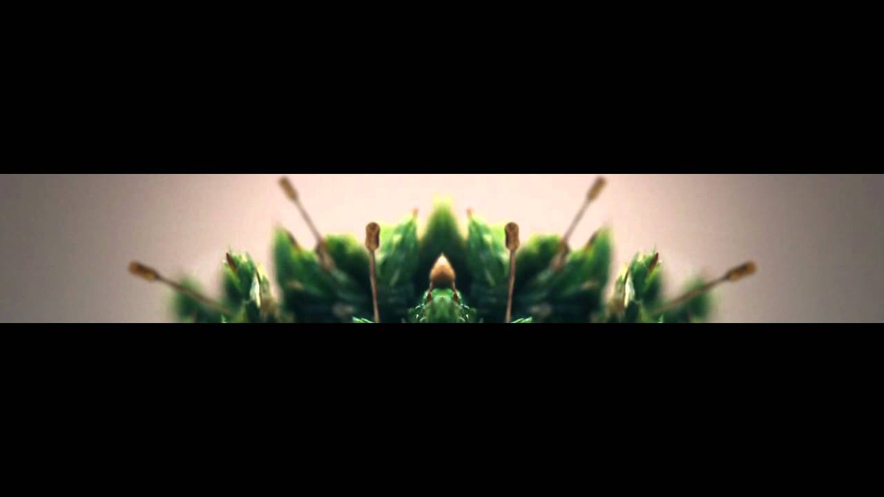 DOMINIK EULBERG - H2O (HOT CHIP REMIX)