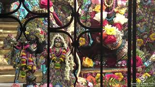 ISKCON Dallas / Temple Live