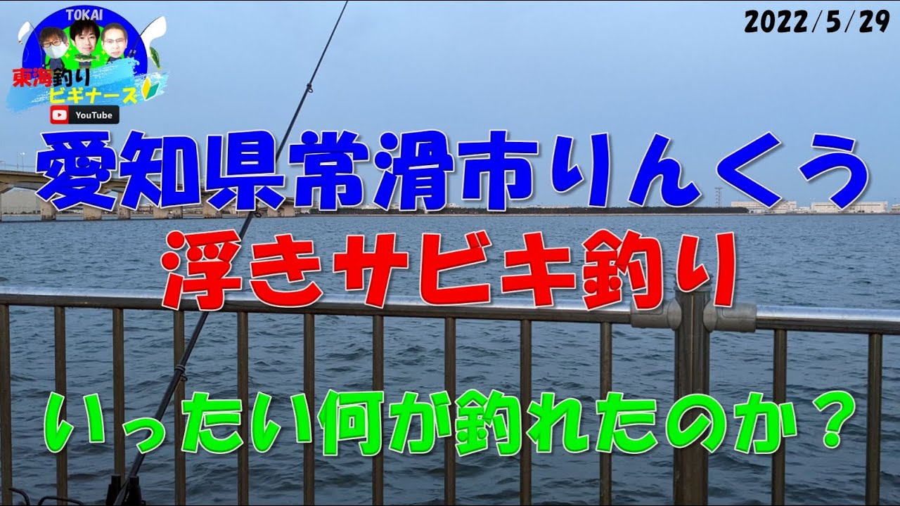 愛知県常滑市りんくう町 で浮きサビキ釣り Youtube