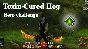 Westwatch patch - hero challenge gw2 Toxin-Cured Hog