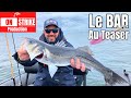 Pche du bar lefficacit redoutable du teaser