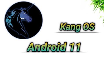 Kang OS - Android 11 ft. Many Devices 🔥🔥