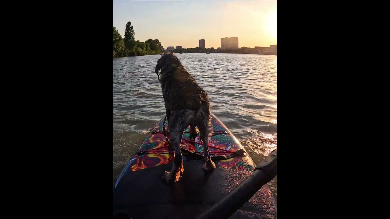 SUP прогулка по реке  Кубане вокруг солнечного острова 