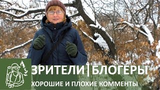 💬 О зрителях и блогерах, хороших и плохих комментах