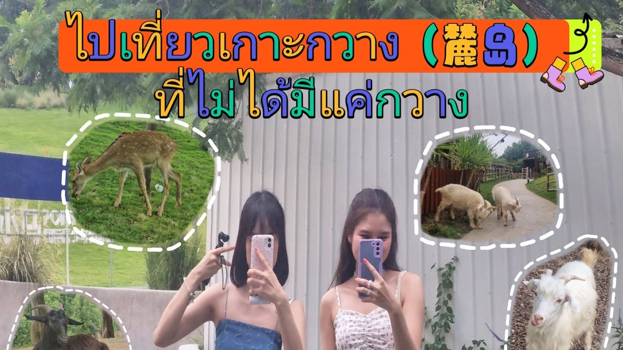 Vlog EP65ไปเที่ยวเกาะกวาง（麓岛）ที่ไม่ได้มีแค่กวาง #เฉิงตู