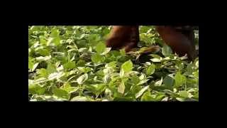 l Thappipoina Kumarudu l Short Film l - YouTube