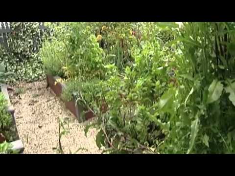 Огород без хлопот - грядки и рассада ( 1 серия )