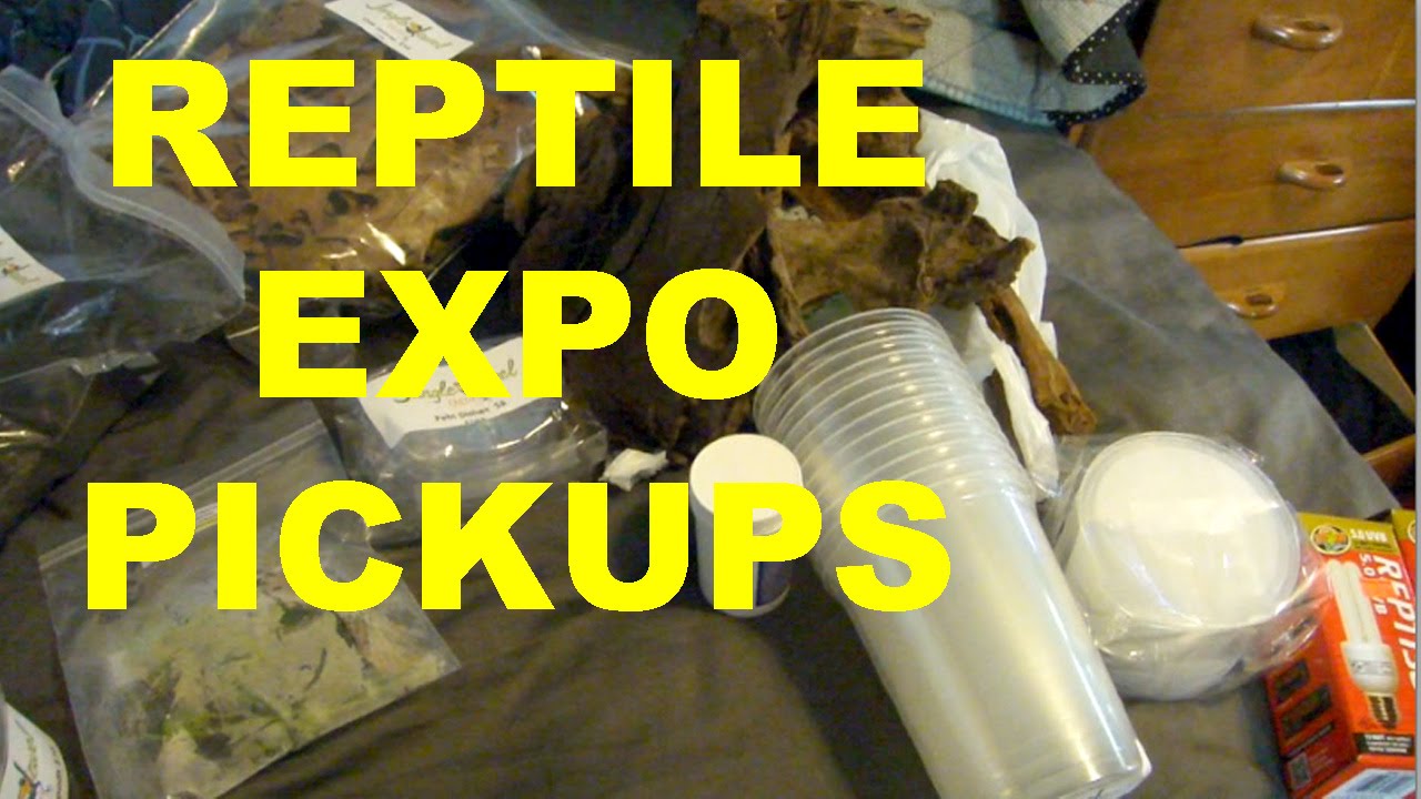 REPTILE EXPO PICKUPS! WCRE YouTube