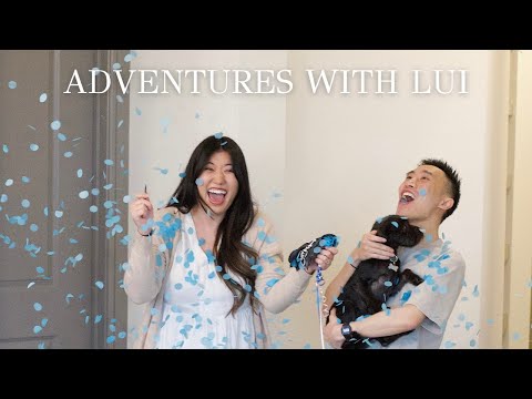 Adventures with Lui Vlog: Part 95 (lots of food, friends, and pregnancy reveals)