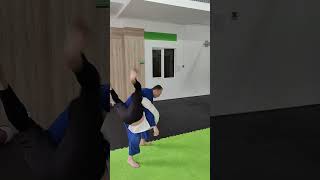 БОЕВЫЕ ИСКУССТВА. БОРЬБА. СМЕШАННЫЕ ЕДИНОБОРСТВА  #sokirkincoach #combat #sambo #judo #jiujitsu