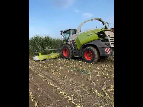 Машина для сбора кукурузы. - YouTube
