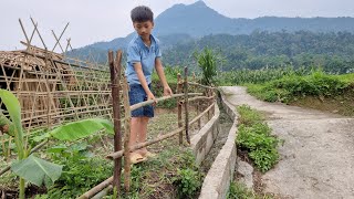 Nam - poor boy: Gardening and growing green vegetables. Make bamboo fences around the house