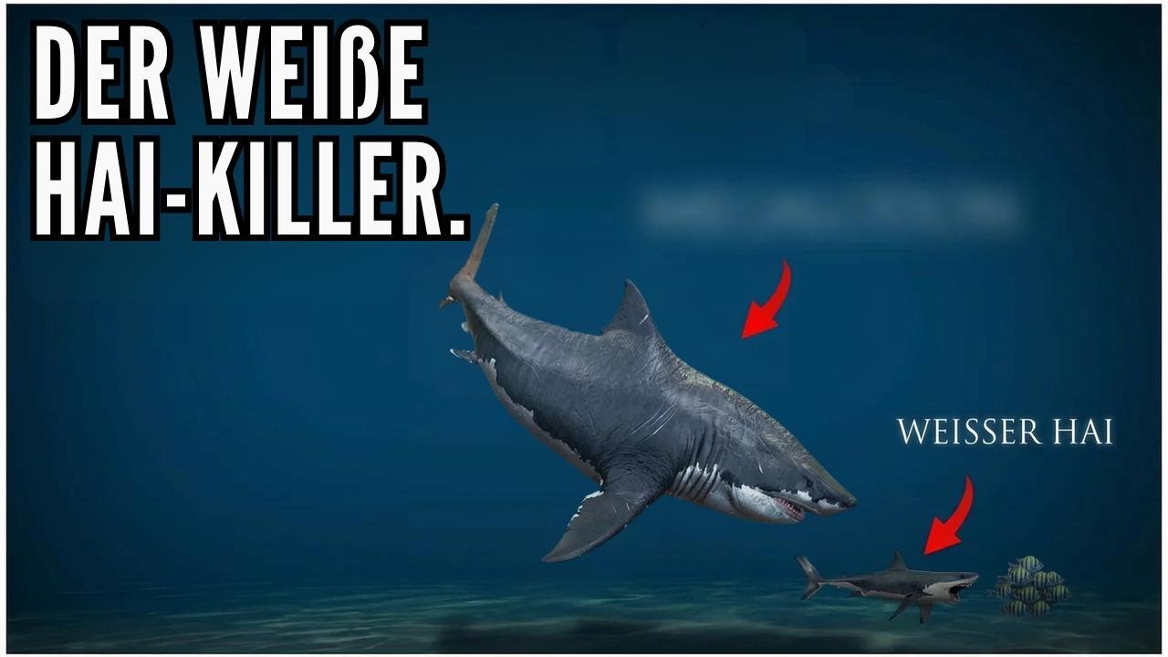 Dieser Urzeit-Hai war der Schrecken des Weißen Hais...