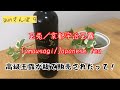 【Tamausagi/Japanese tea  玉兎／京都宇治玉露】入手困難な瓶詰玉露を和食と共にそしてウサギ