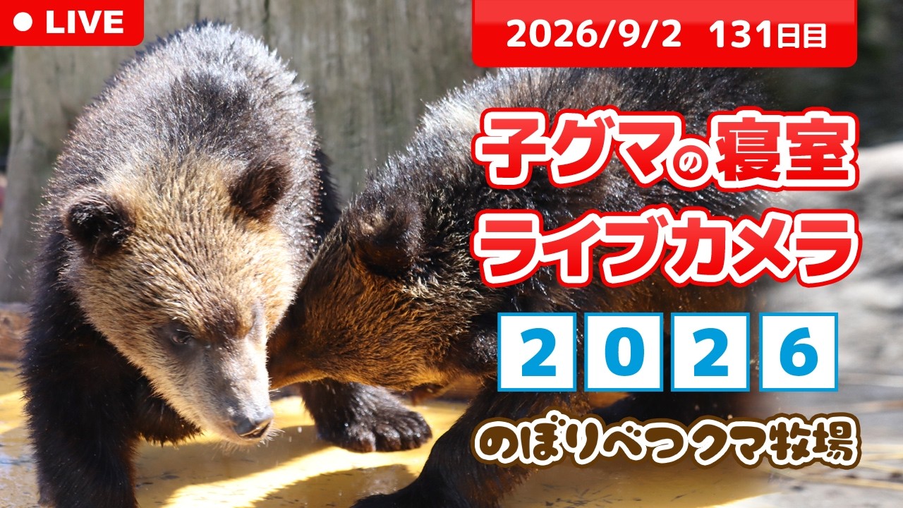 のぼり べつ クマ 牧場