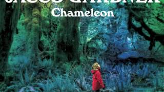 Miniatura de vídeo de "Jacco Gardner - Chameleon"