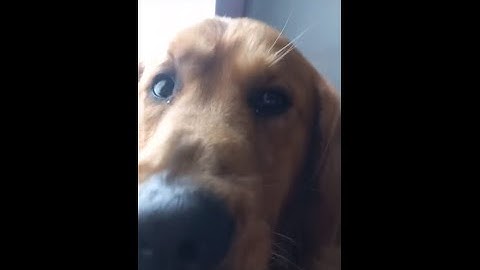 Random shadowplay #1