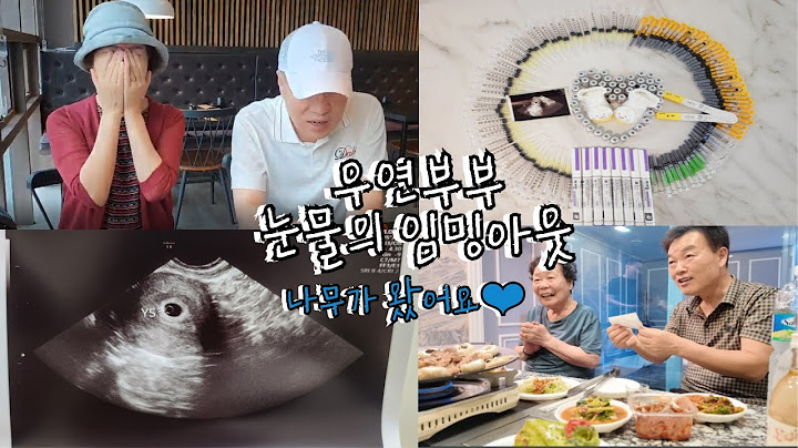 [우연vlog] 시험관 과정 그리고 이식 3차에 임신 성공 양가 부모님들 임밍아웃 눈물파티🥰