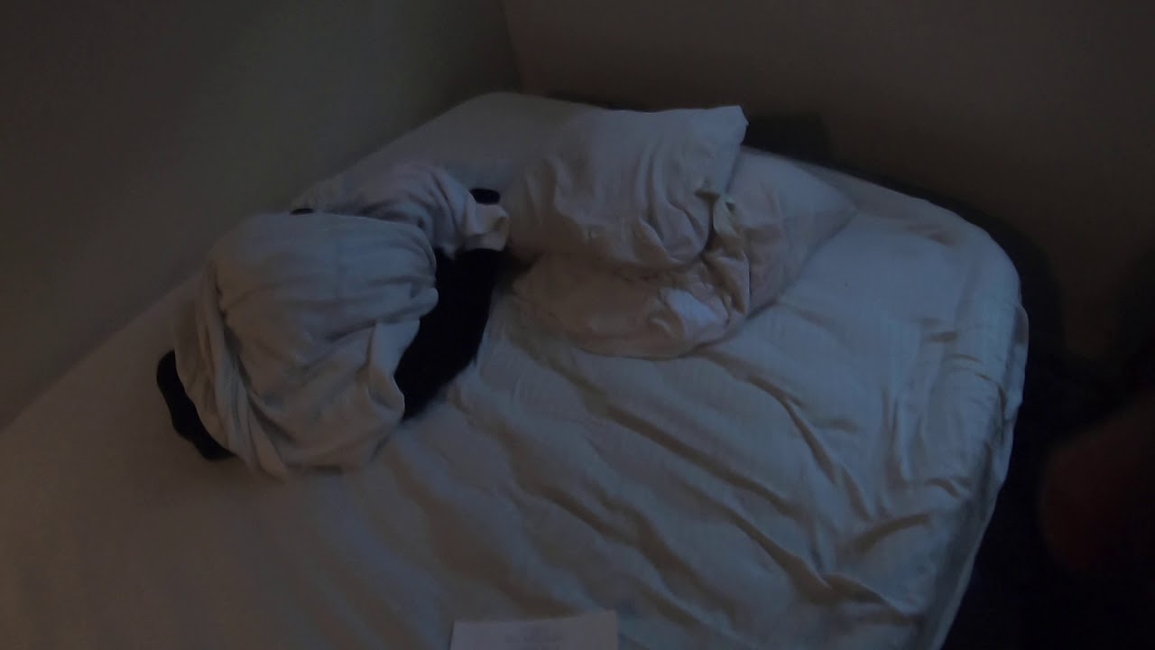 Judicial Tenure Commission and Attorney Grievance Commission Complaints