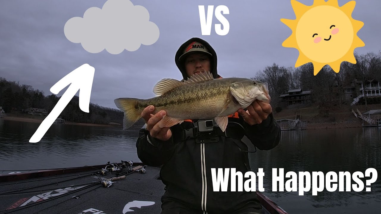 You’ll NEVER Bass Fish The Same After Watching THIS!