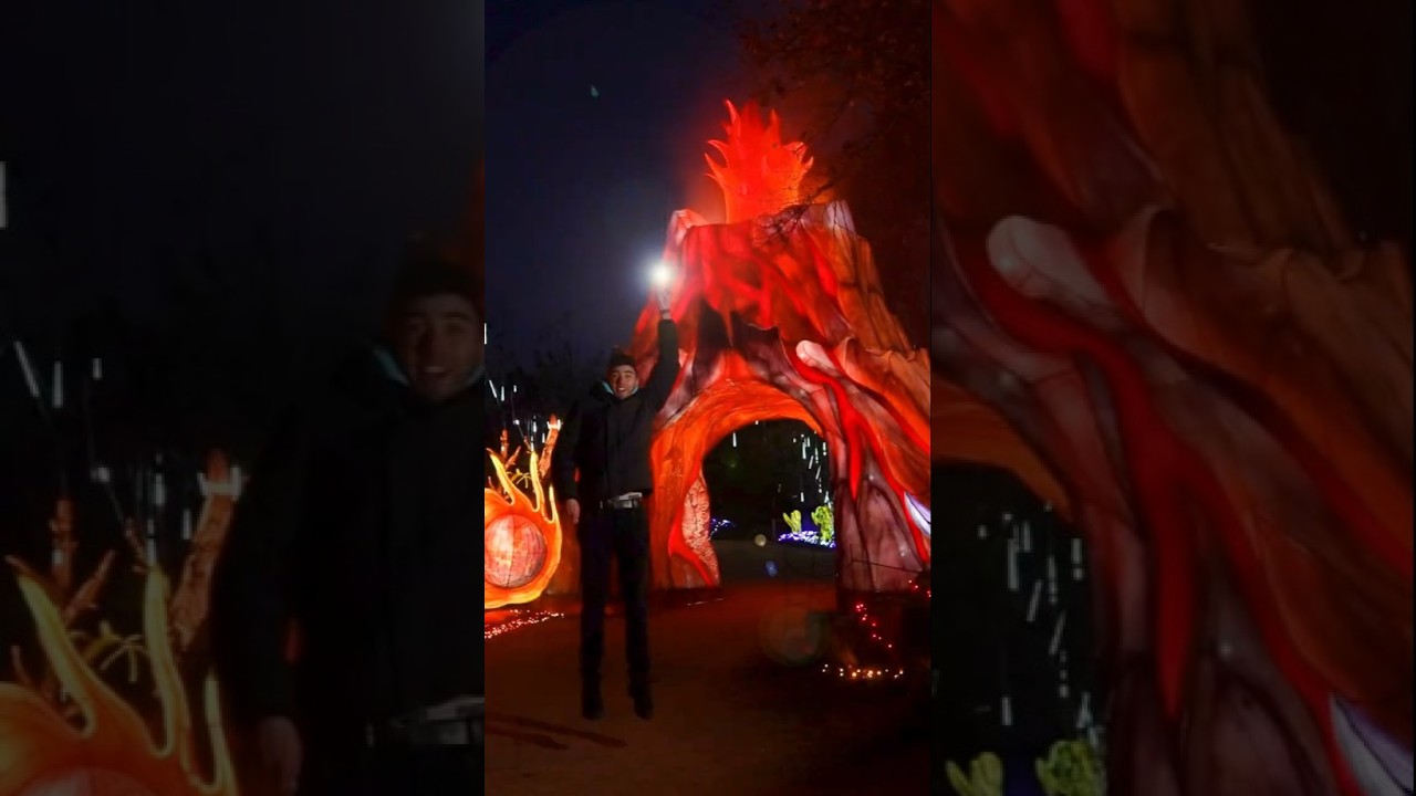 Light Safari 2025-2026 is officieel van start! 