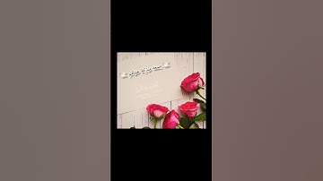 سورة الكهف /جمعة مباركة/آية قصيرة حلات واتس اب
