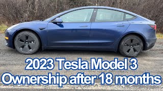 2023 Tesla Model 3 Ownership Review