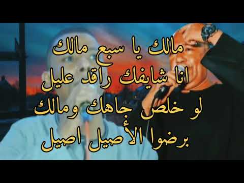 الفنان ياسر رشاد والفنان عمار ابو يحيي جديد مالك يا سبع مالك انا شايفك راقد عليل