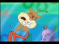 Spongebob Squarepants What Sea Critters Need 
