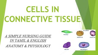 CELLS IN CONNECTIVE TISSUE {ENGLISH}. A SIMPLE NURSING GUIDE.