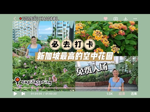 【新加坡免费景点】新加坡必去！来看CapitaSpring 51楼的空中花园！新加坡旅游| 新加坡景点