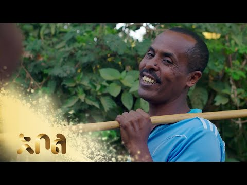 ቪዲዮ: የቄሳር ብሩክዴል - Pocono ማውንቴን ሪዞርቶች