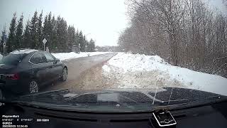 Нетрезвый водитель с анакондой