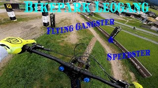 Bikepark LEOGANG: FLYING GANGSTER / SPEEDSTER 2022