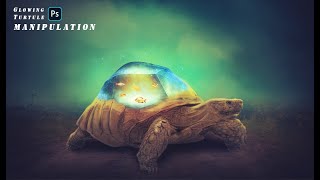 GLOWING TURTULE | PHOTOSHOP MANIPULATION