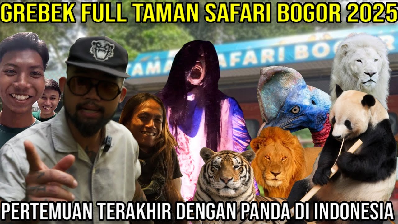 GREBEK FULL TAMAN SAFARI 2025 PERTEMUAN TERAKHIR DENGAN PANDA DI INDONESIA