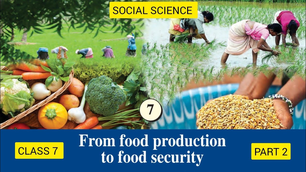 Class 7 Social Science| Chapter 7| From food production to food ...