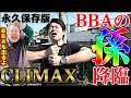 【崖チャレCLIMAX始動】人生崖っぷちの素人たちの戦いは遂に最終局面へと突入しました【IMCの象徴が奇跡の出現】