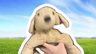 Mr Best Dog Copy 34B3C5B9 7Eb2 4661 B6D0 2725Ffdac242