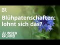 Blühpatenschaften - gut für Bienen und fürs Image |  Unser Land | BR Fernsehen