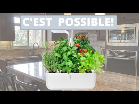 Jardins et potagers d'intérieur SmartGrow