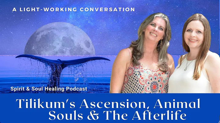 Tilikum's Ascension, Animal Souls & The Afterlife,...