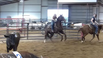 Woody Tee Up - sorting 1 - Valley View Ranch