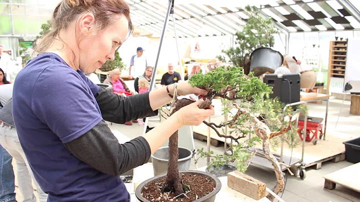 Bonsai demo by Jennifer Price