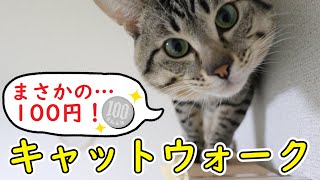 【DIY】100円で自作のキャットウォークを設置！猫の反応は…？