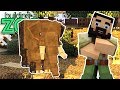 I'm Building A Zoo In Minecraft! - HUGE Announcement! - EP28