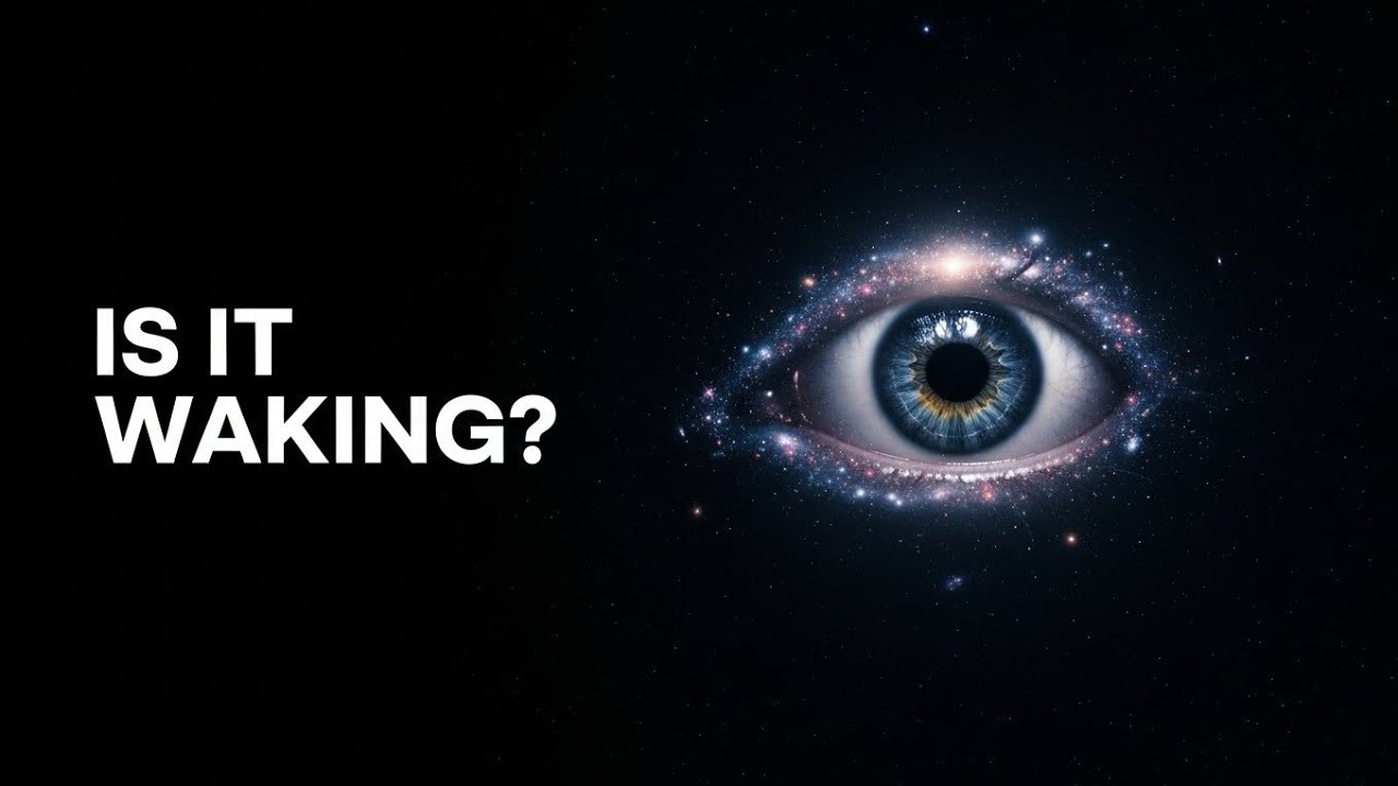 What If the Universe Is Slowly Becoming Aware?