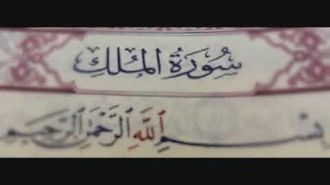 سورة الملك الشيخ احمد عامر